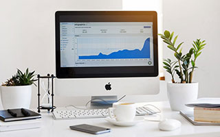 什么是生物的种和界？